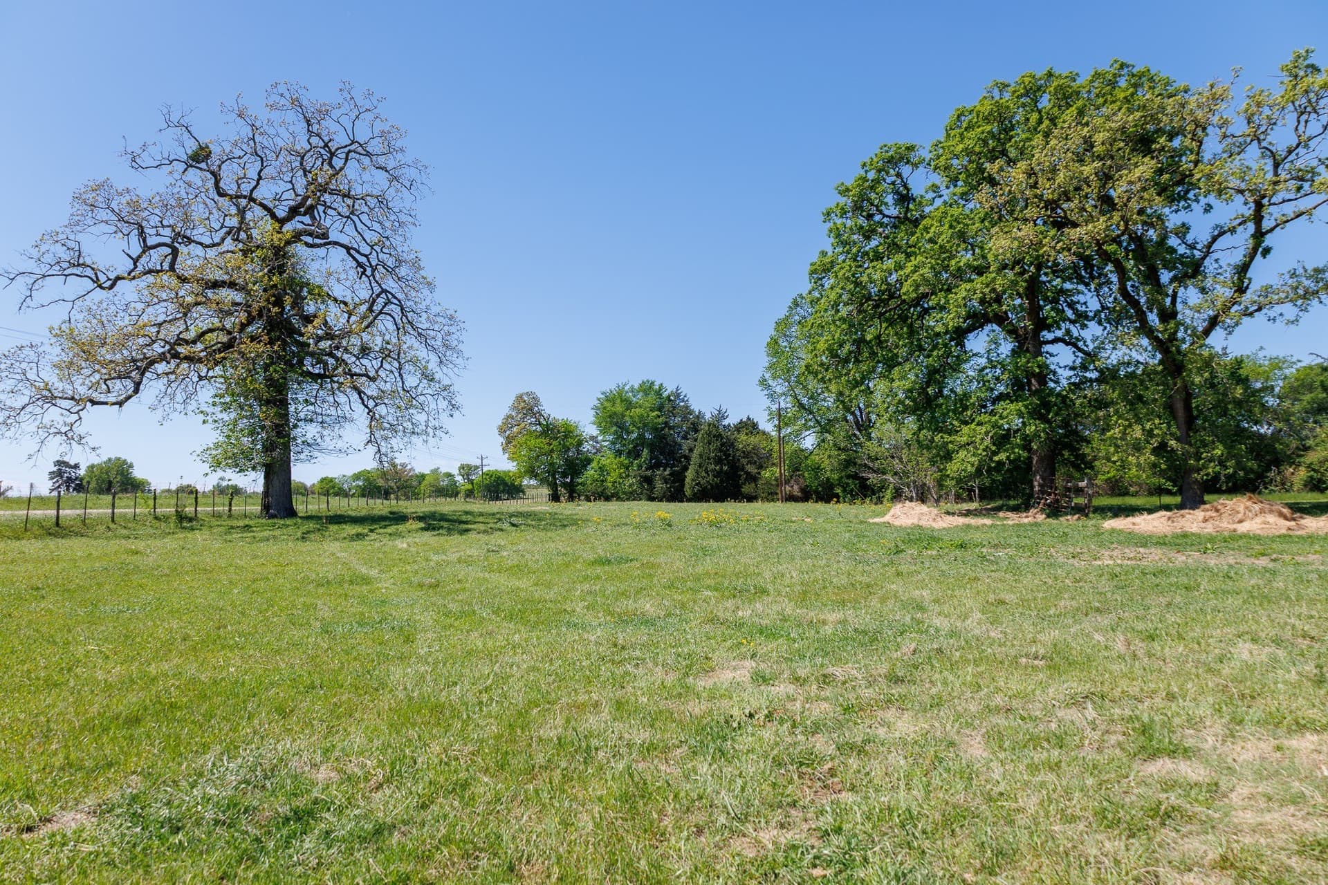 31.74 acres in Smith County - photo 35