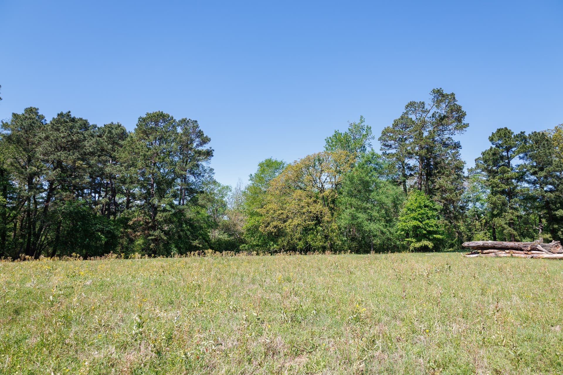 31.74 acres in Smith County - photo 30