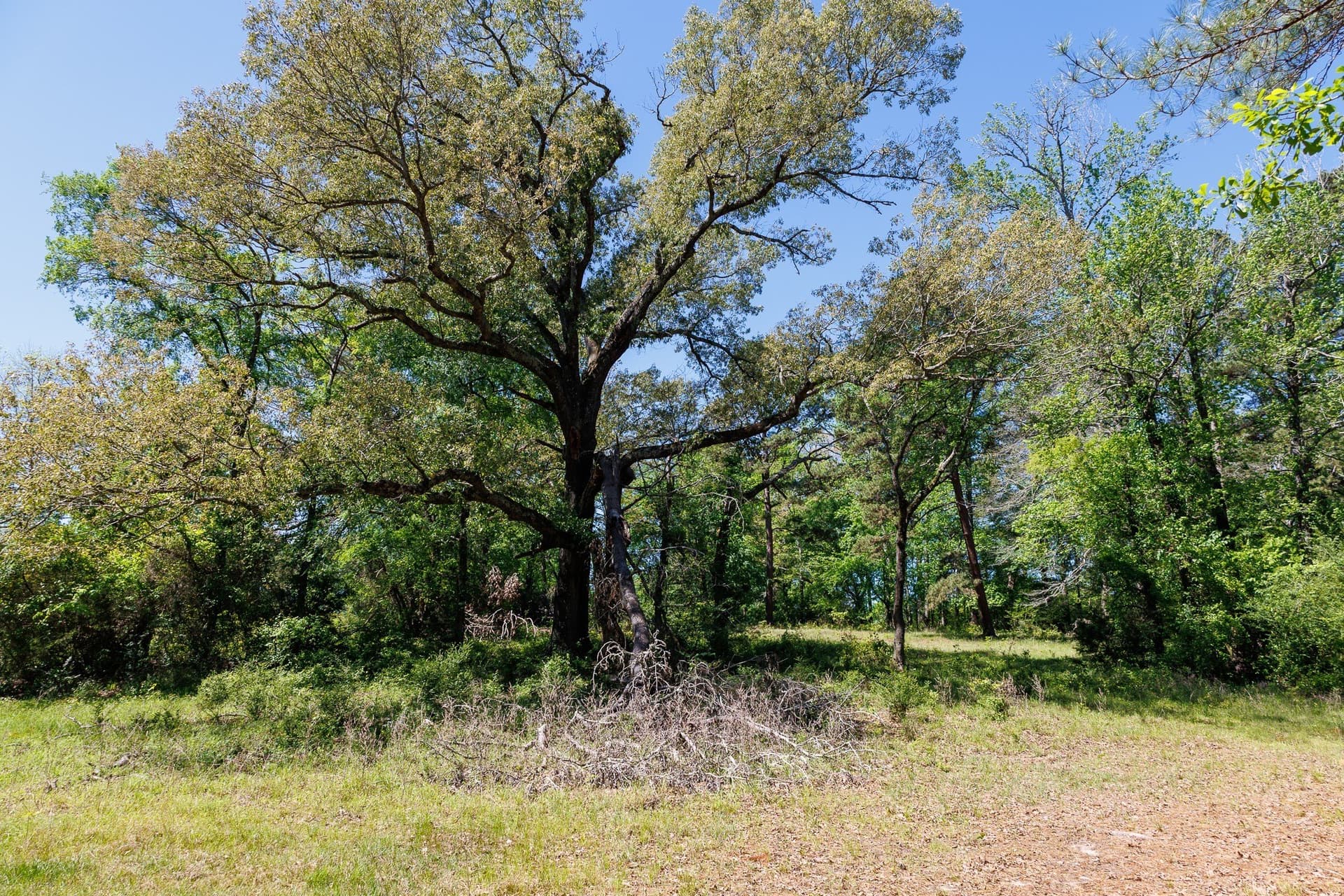 31.74 acres in Smith County - photo 26