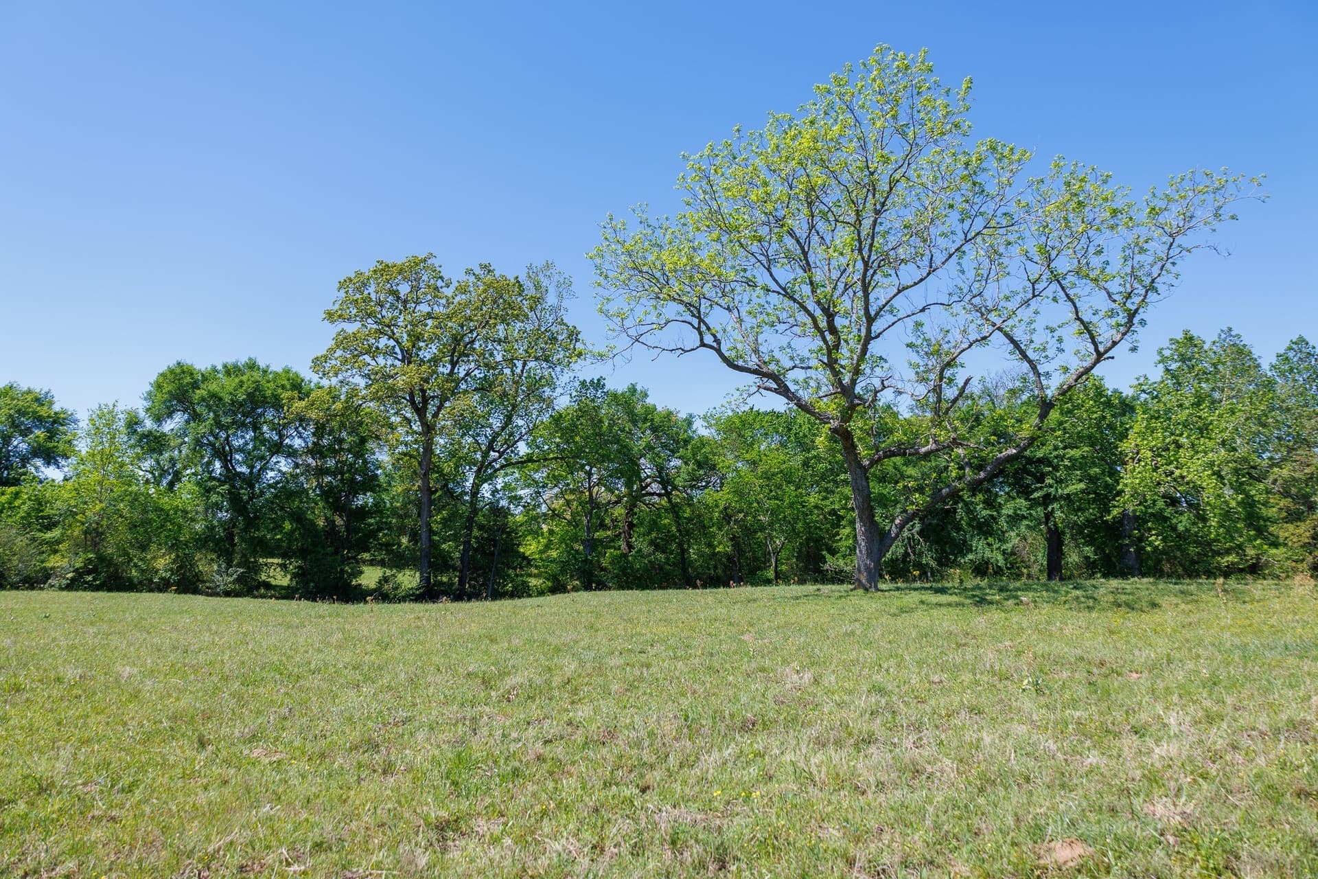 31.74 acres in Smith County - photo 32