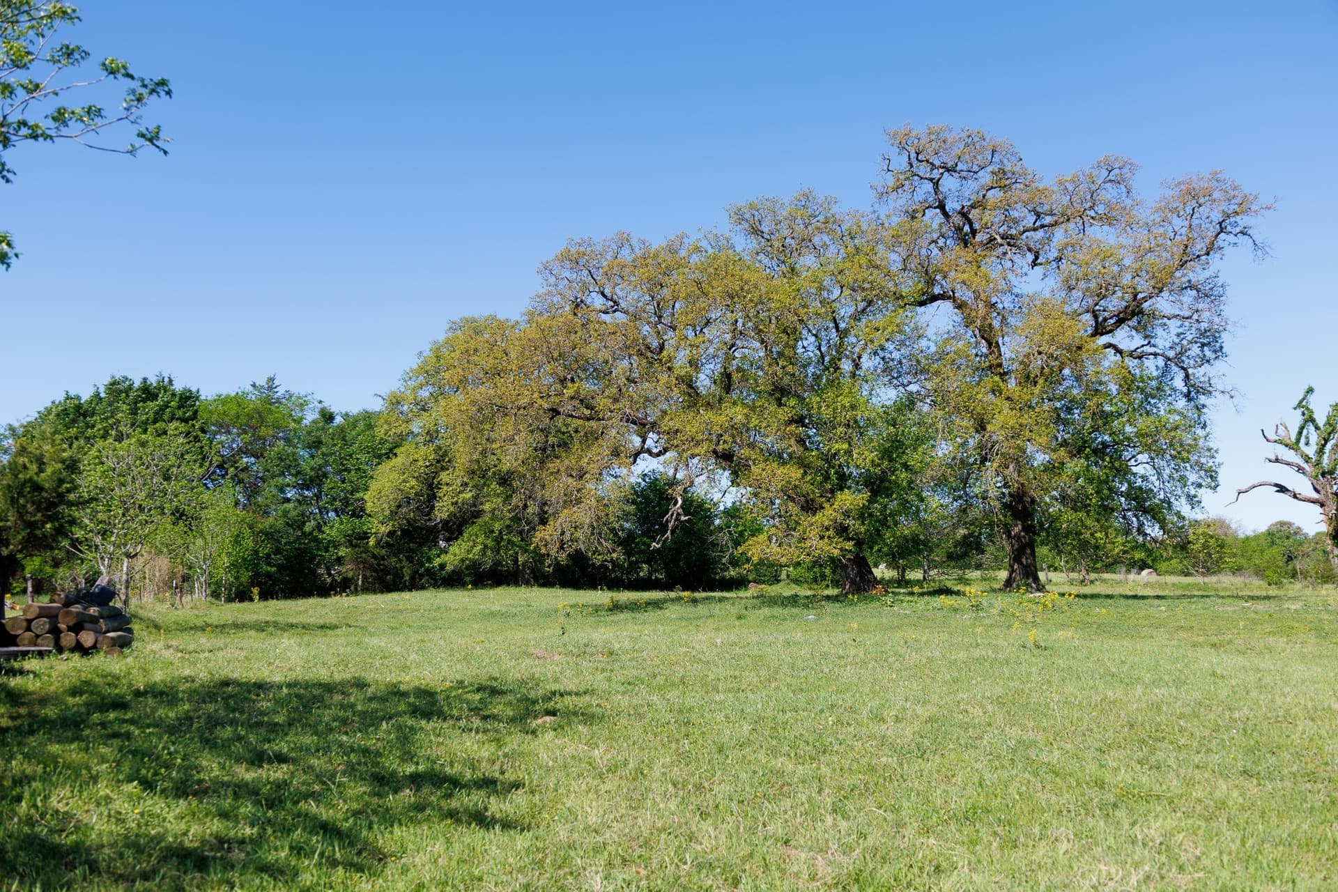 31.74 acres in Smith County - photo 17