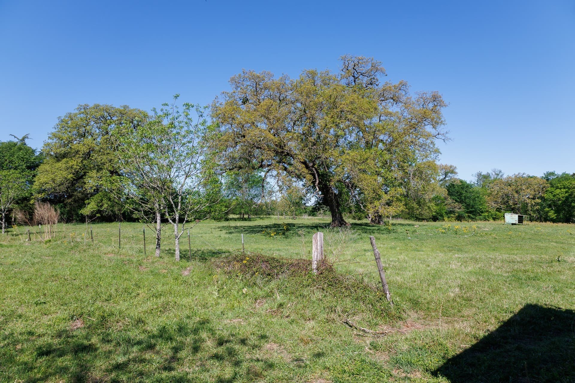 31.74 acres in Smith County - photo 25