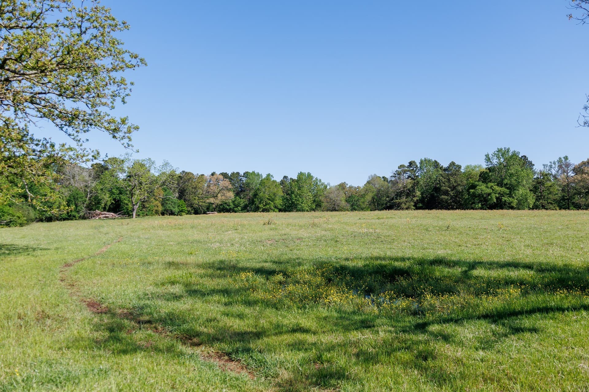 31.74 acres in Smith County - photo 18