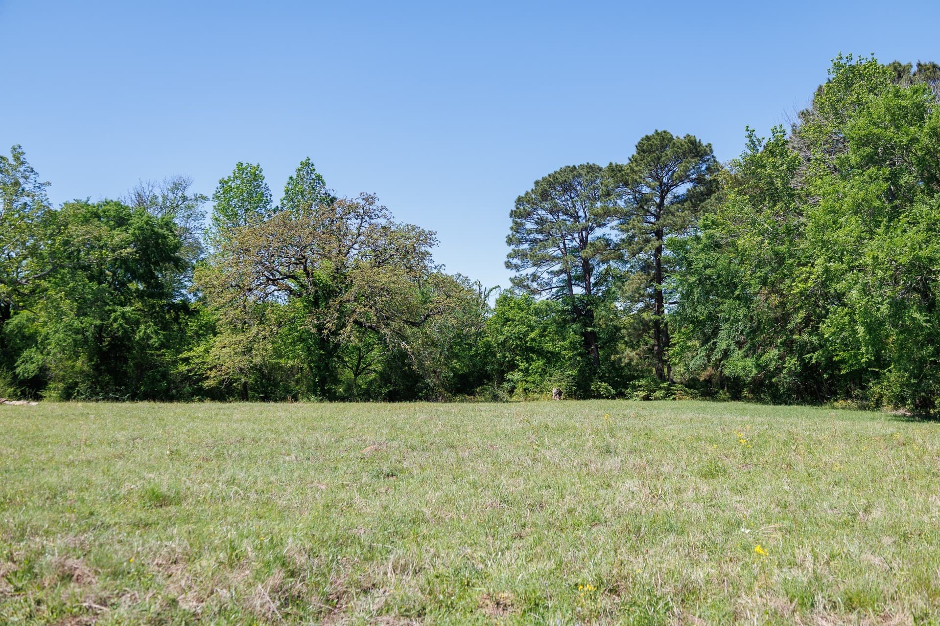 31.74 acres in Smith County - photo 31