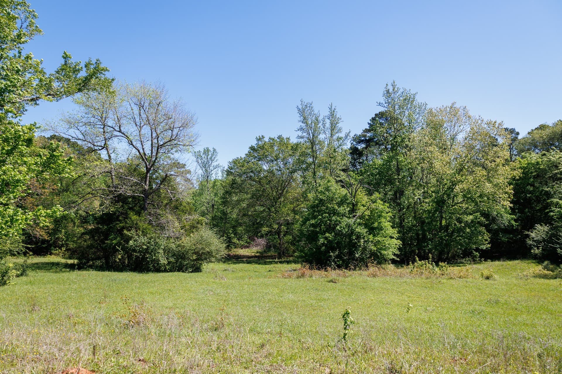 31.74 acres in Smith County - photo 29