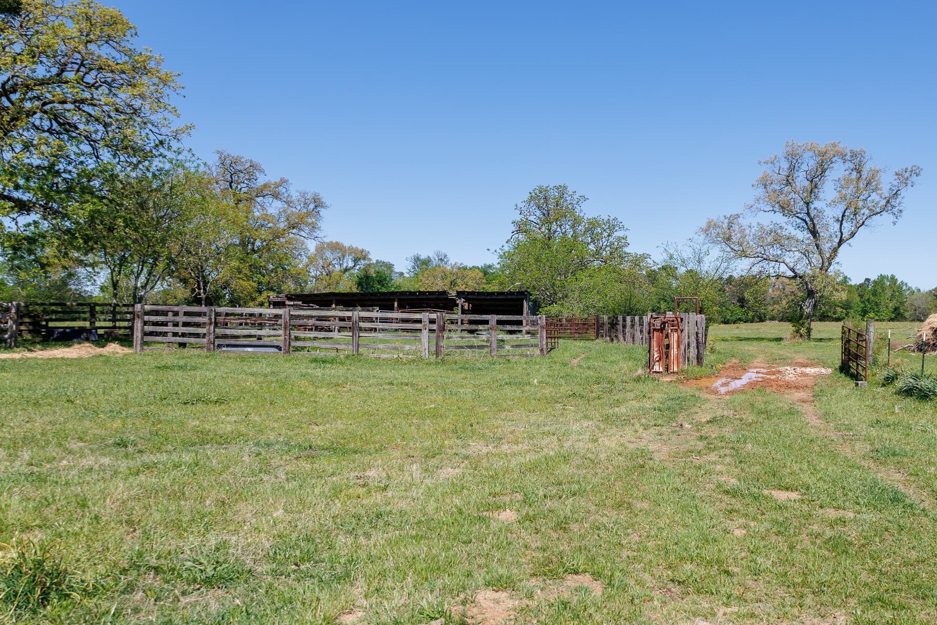 31.74 acres in Smith County - photo 36