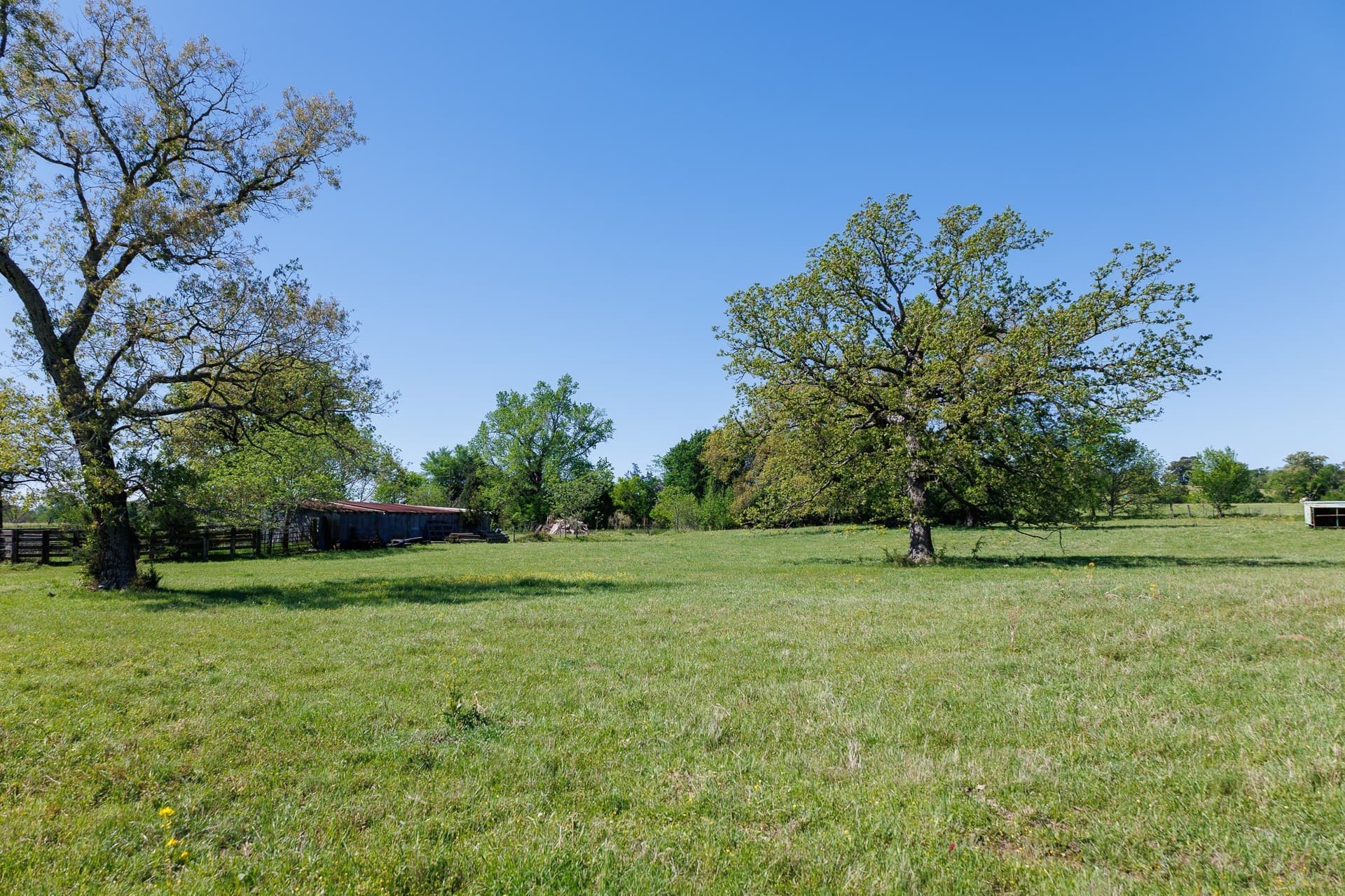 31.74 acres in Smith County - photo 19