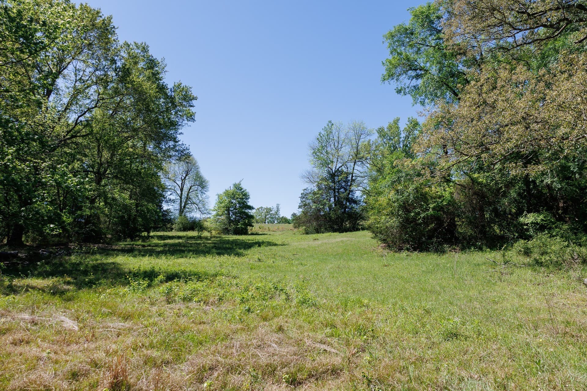 31.74 acres in Smith County - photo 24