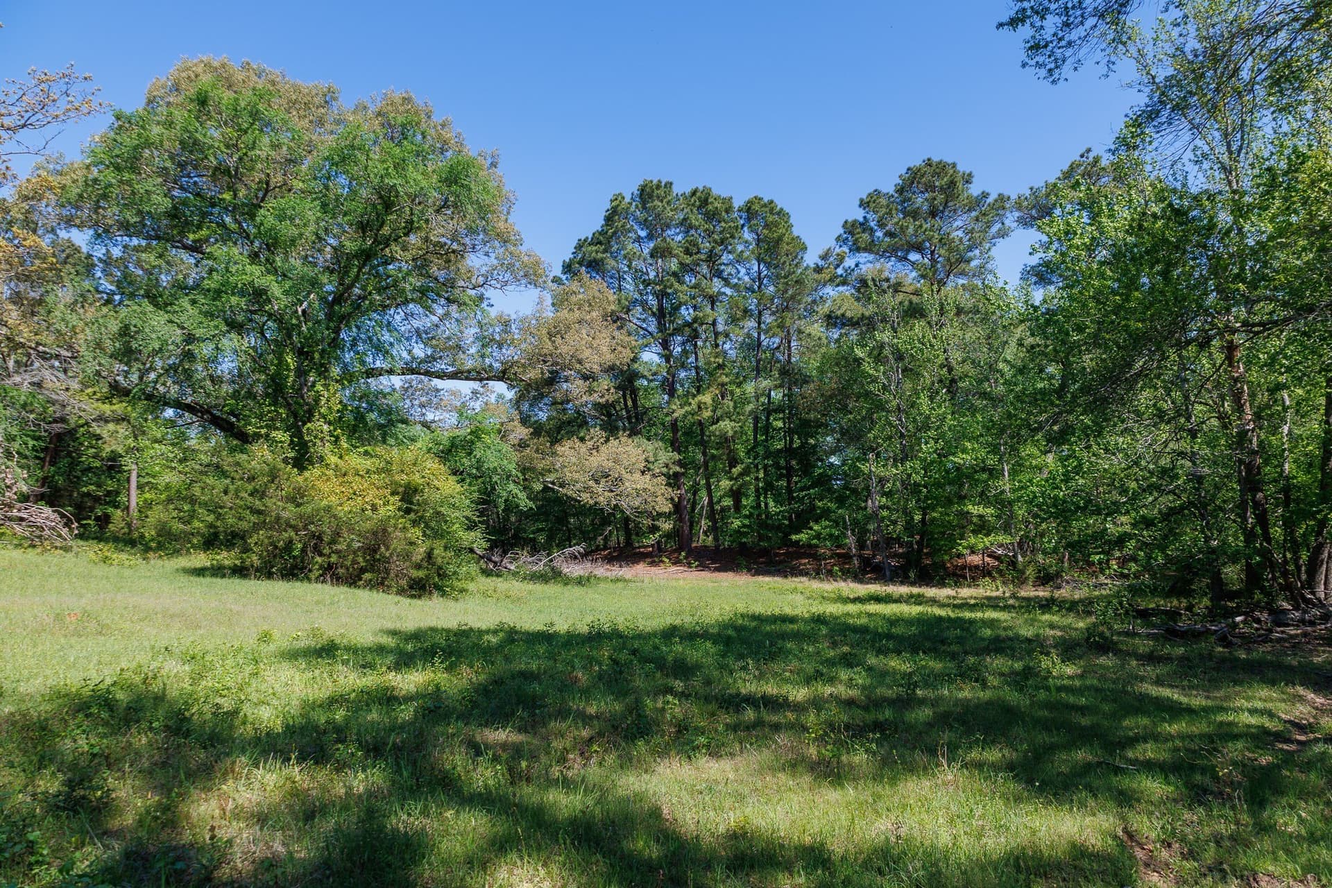 31.74 acres in Smith County - photo 23