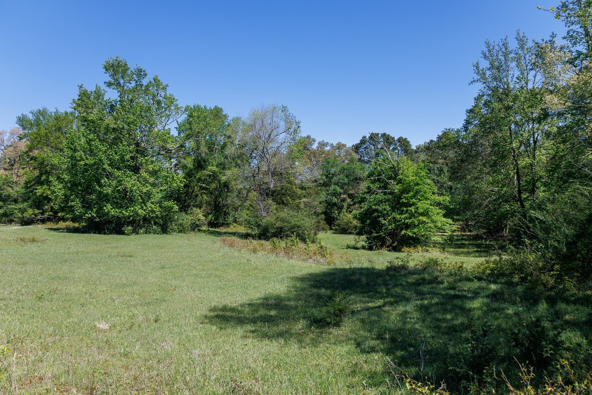 31.74 acres in Smith County - photo 21