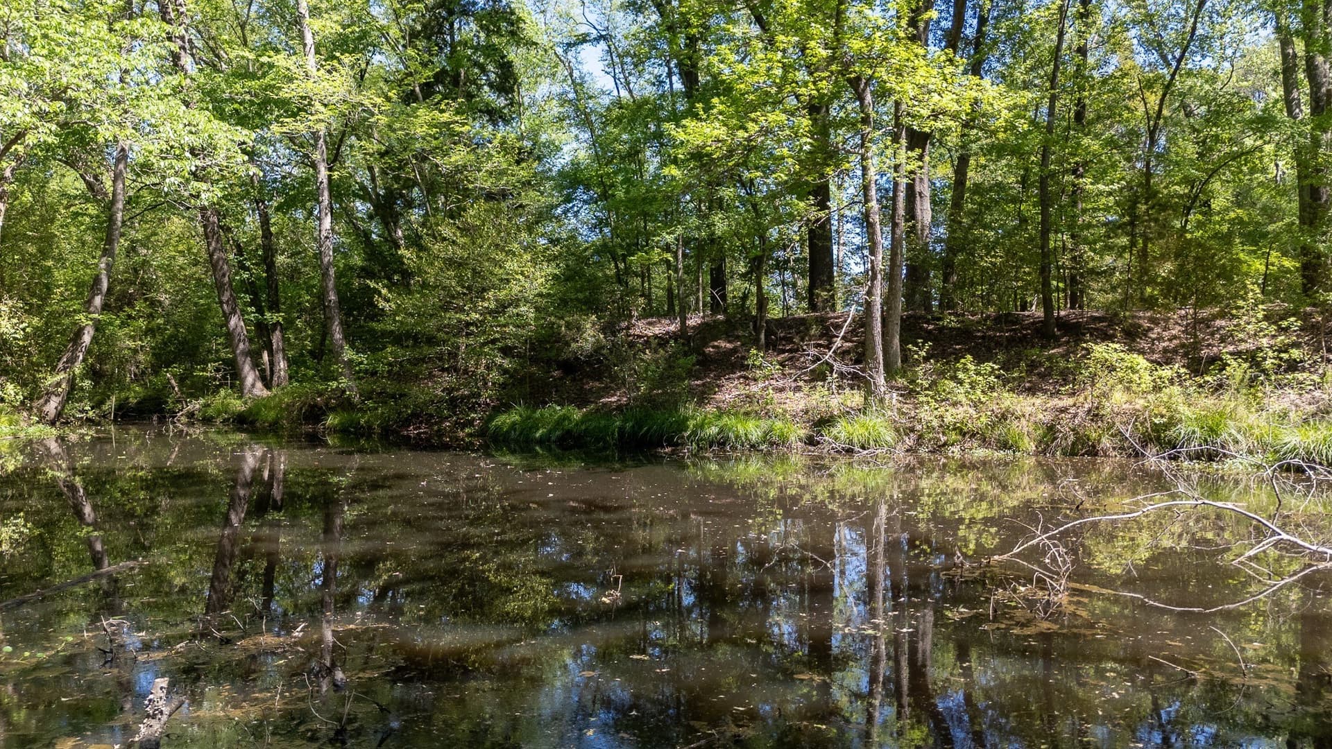 31.74 acres in Smith County - photo 15