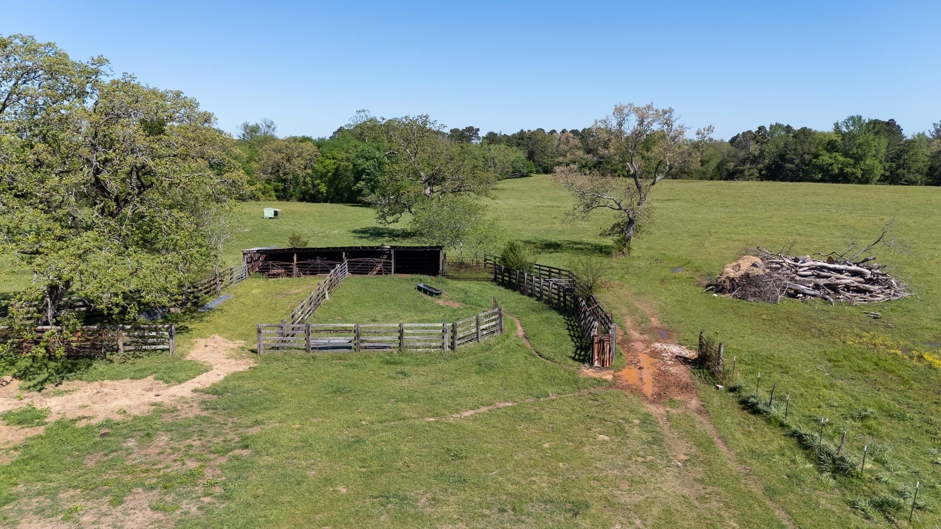 31.74 acres in Smith County gallery image 2