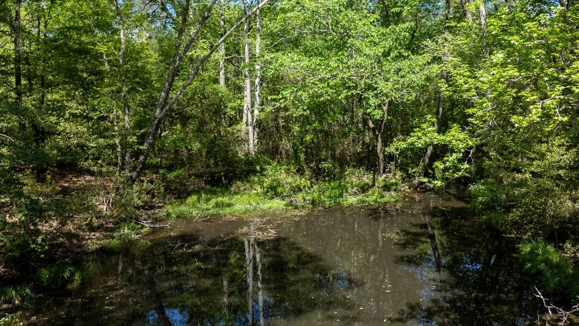 31.74 acres in Smith County - photo 14