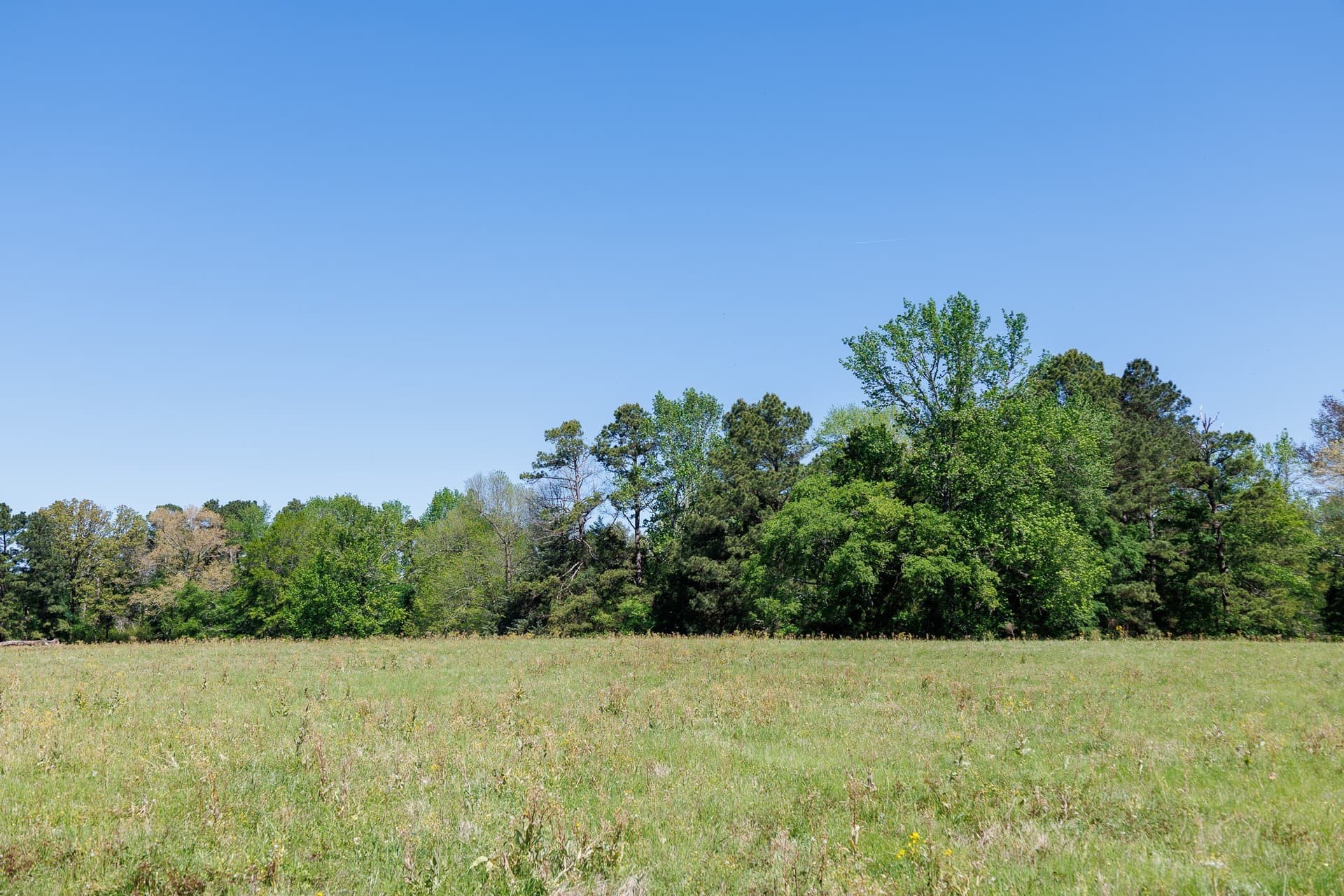 31.74 acres in Smith County - photo 20