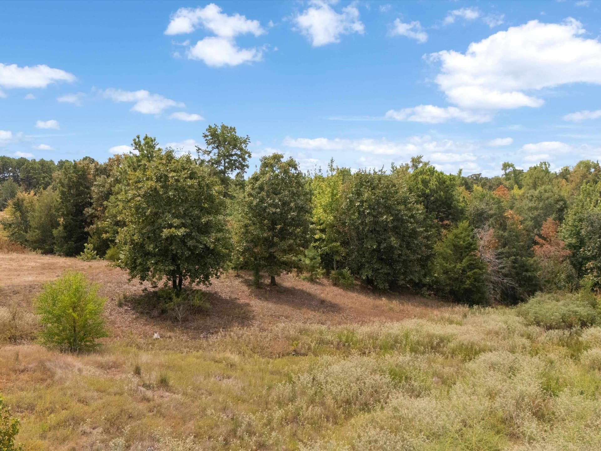 55 acres in Upshur County - photo 8