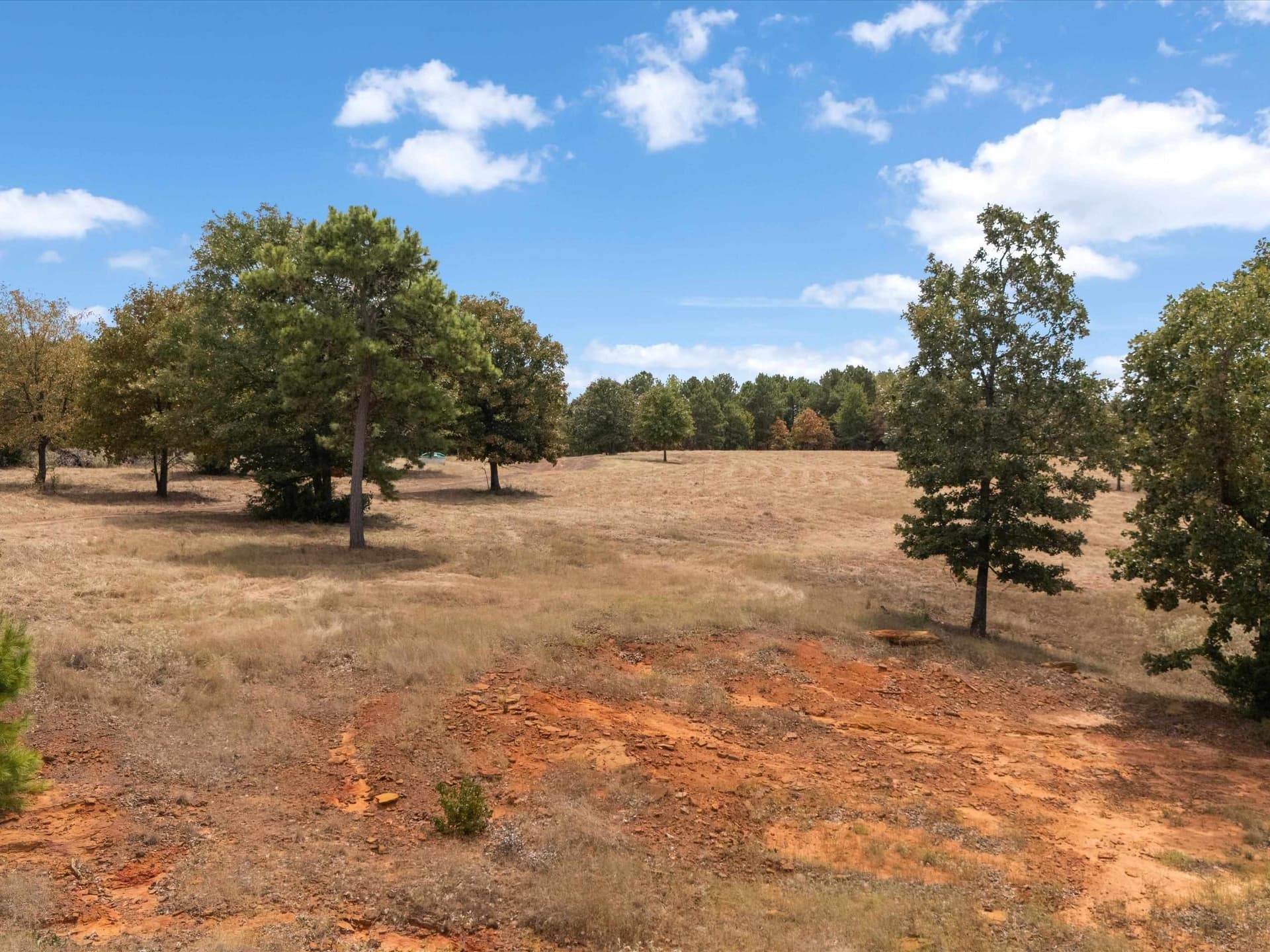 55 acres in Upshur County - photo 10
