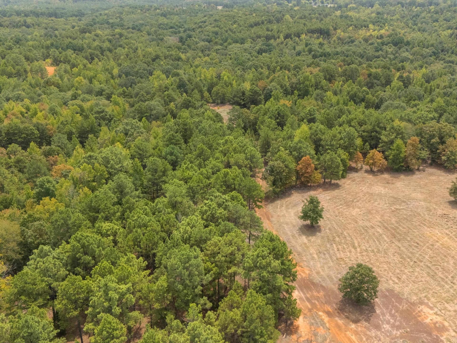 55 acres in Upshur County - photo 14