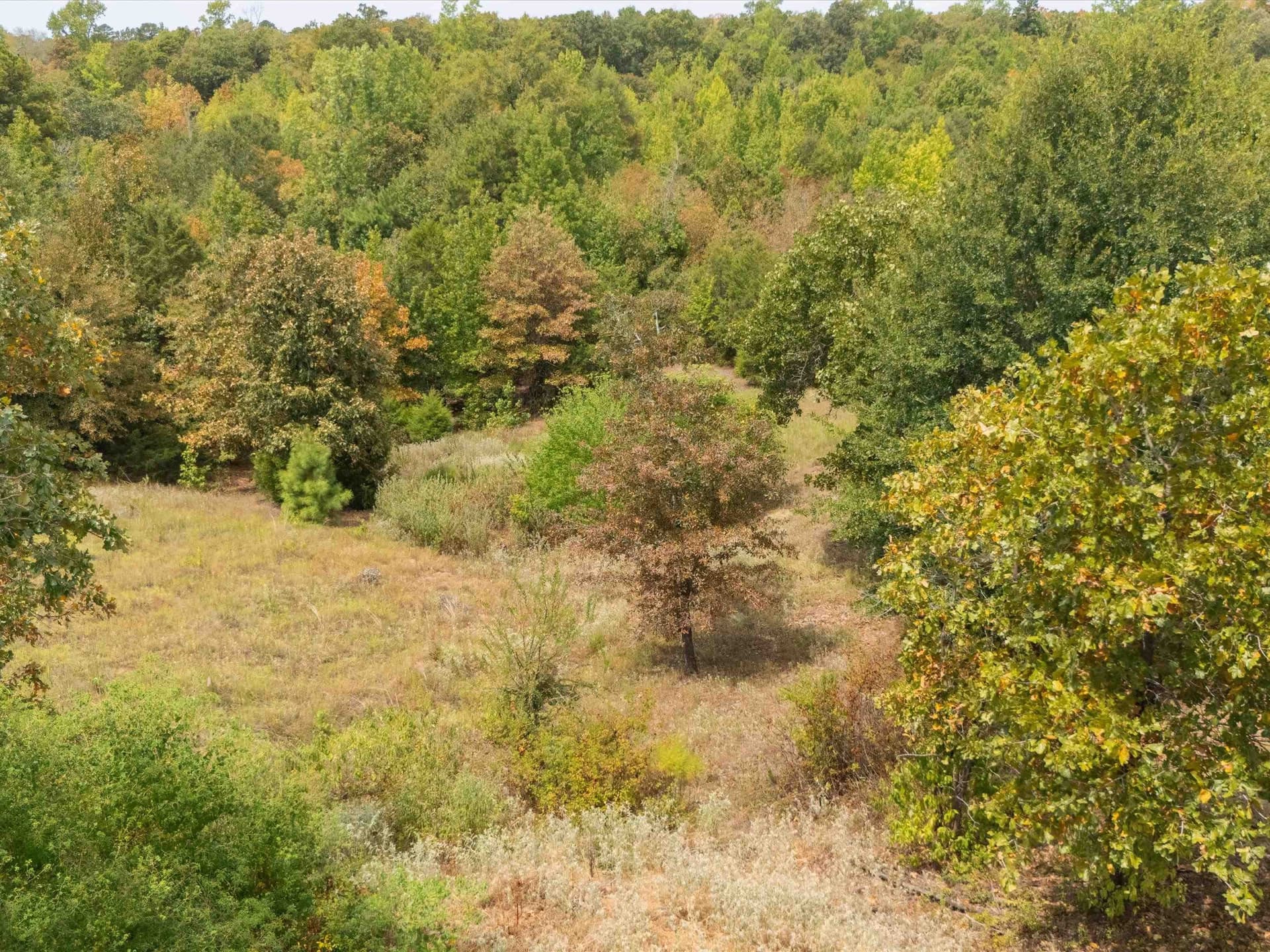 55 acres in Upshur County - photo 9