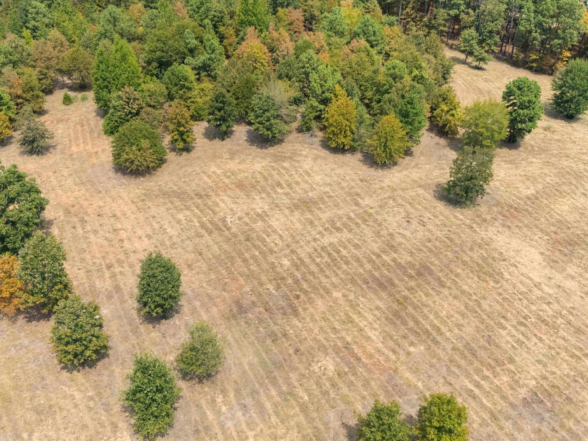 55 acres in Upshur County - photo 6