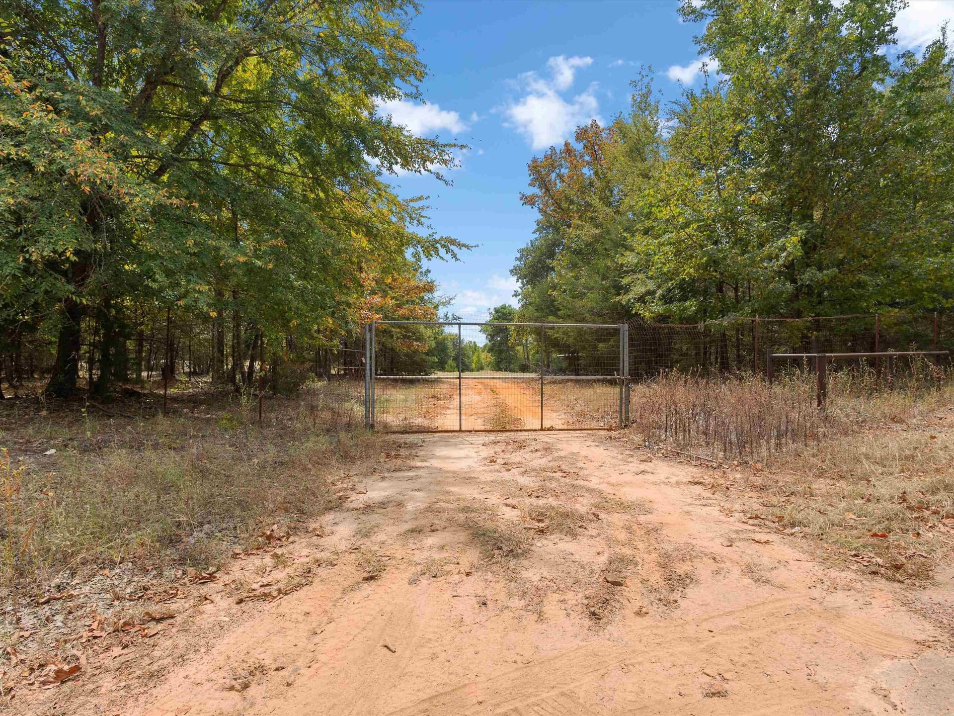 55 acres in Upshur County - photo 16