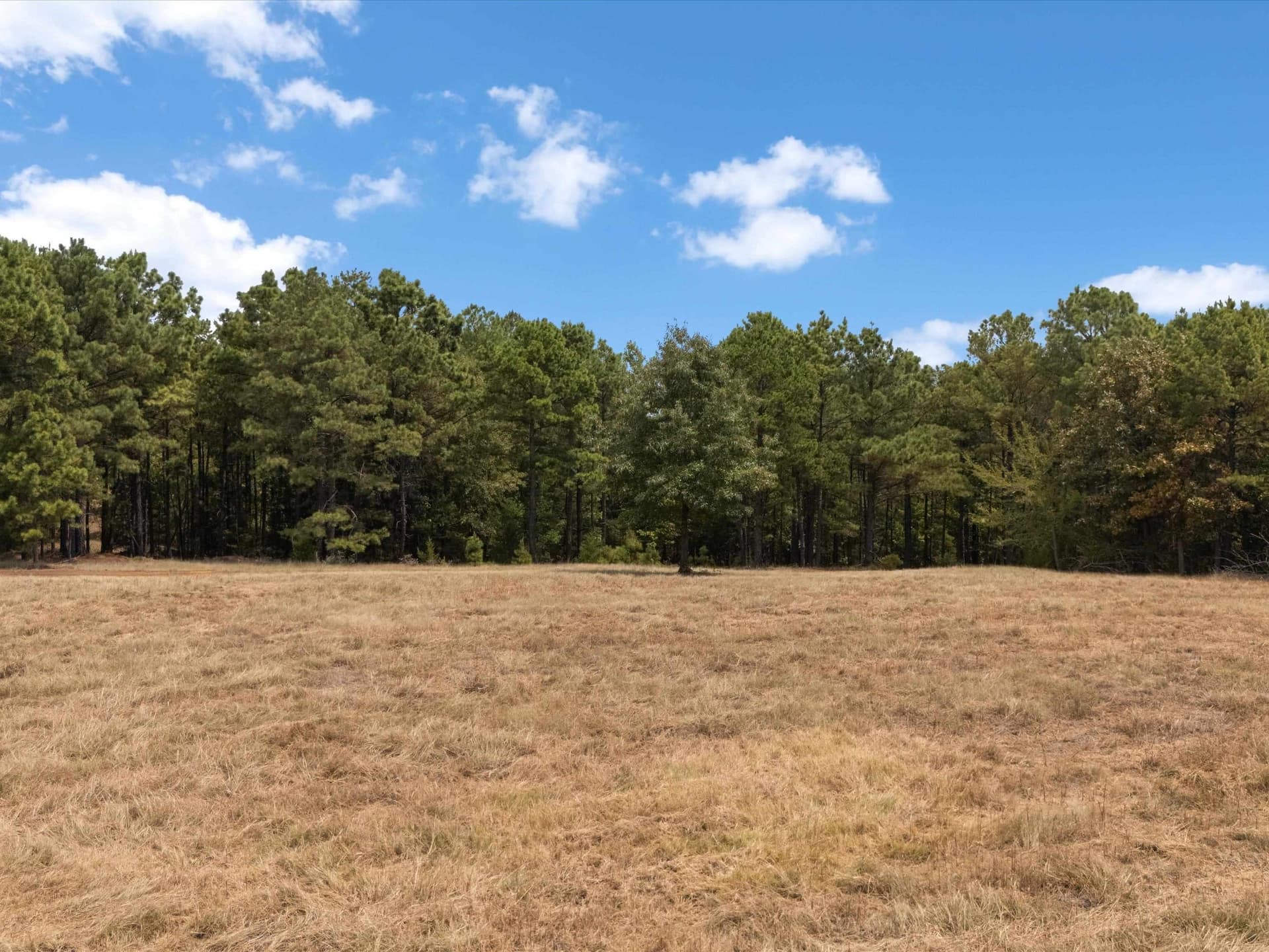 55 acres in Upshur County - photo 5