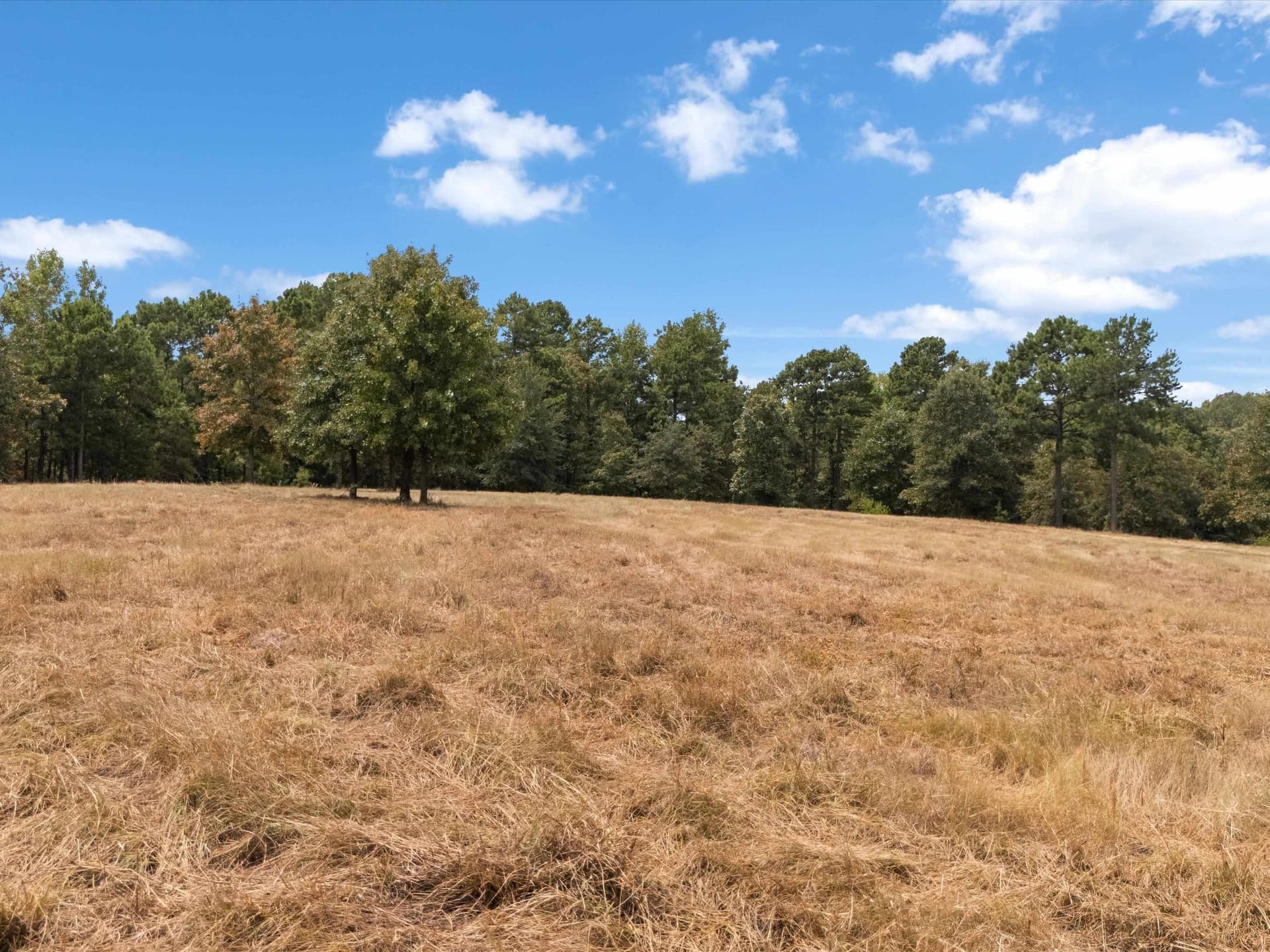 55 acres in Upshur County - photo 3