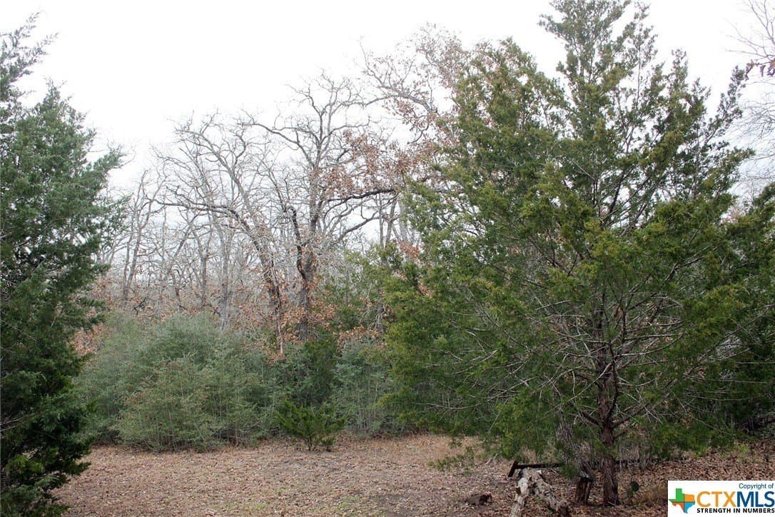 5.62 acres in Caldwell County featured view