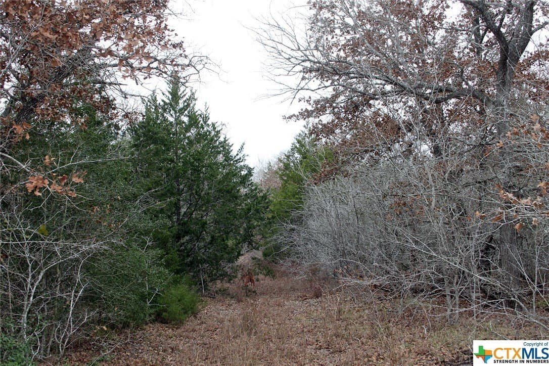 5.62 acres in Caldwell County - photo 9