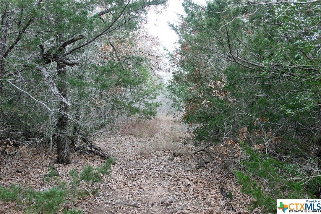 5.62 acres in Caldwell County - photo 6