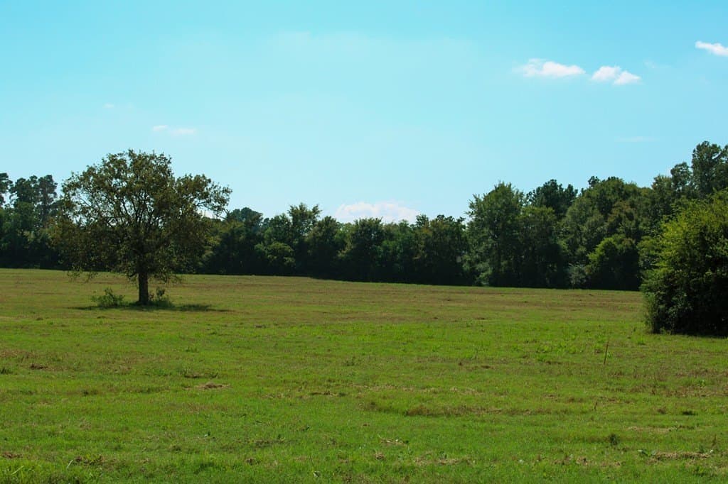 42 acres in Texas County featured view