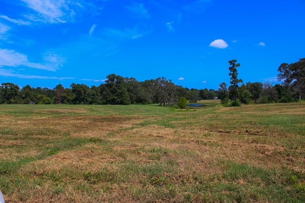 42 acres in Texas County
