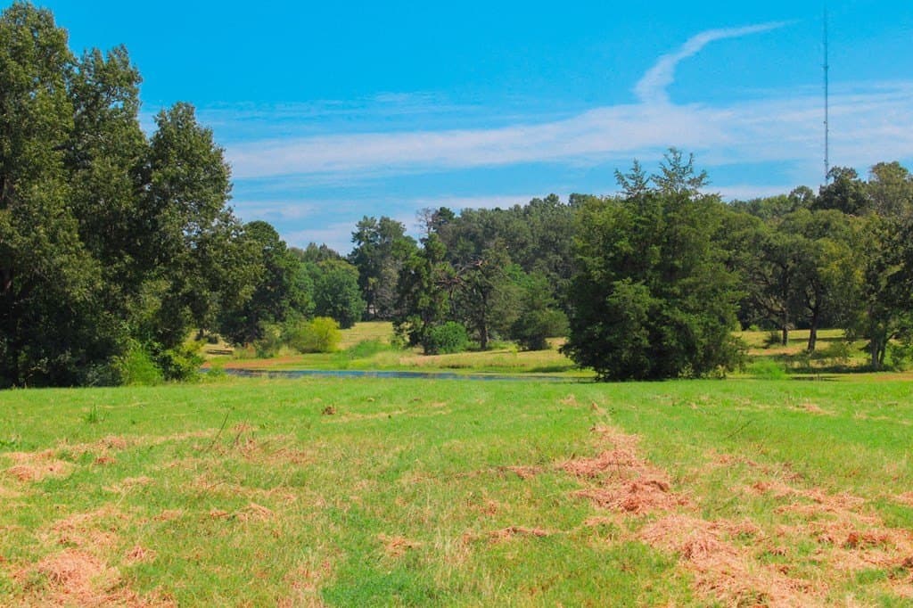 42 acres in Texas County gallery image 3