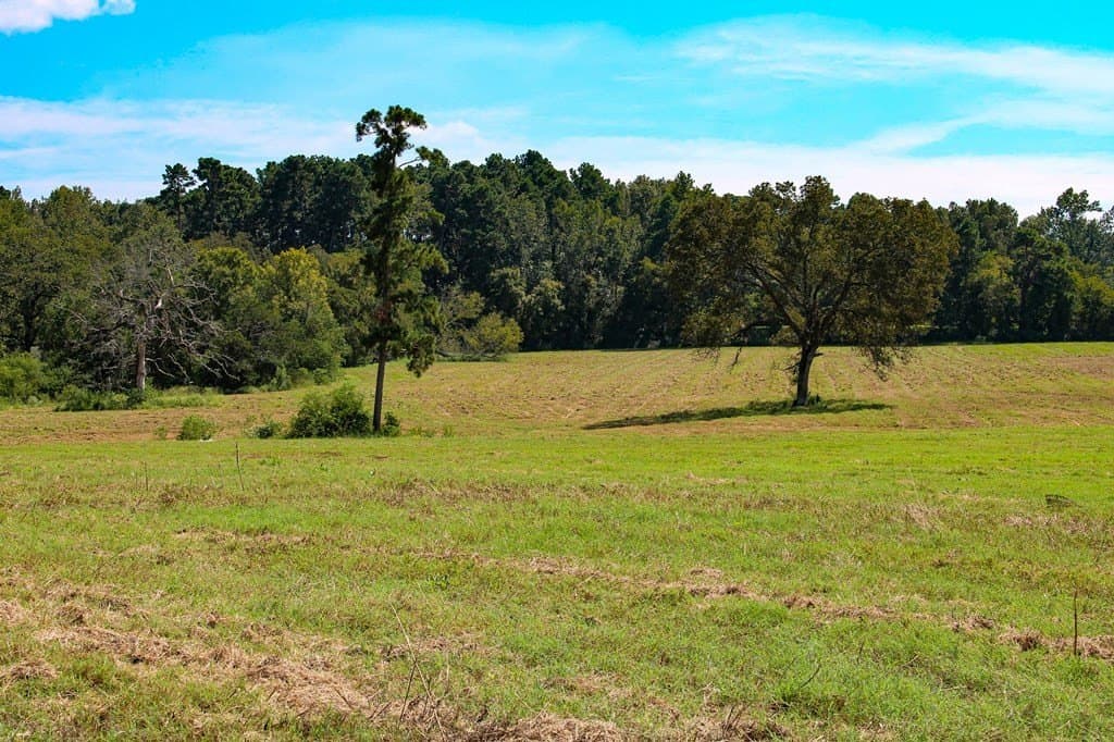 42 acres in Texas County gallery image 4