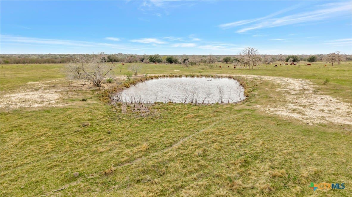 63.46 acres in Goliad County - photo 15