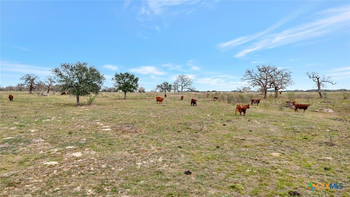 63.46 acres in Goliad County - photo 7