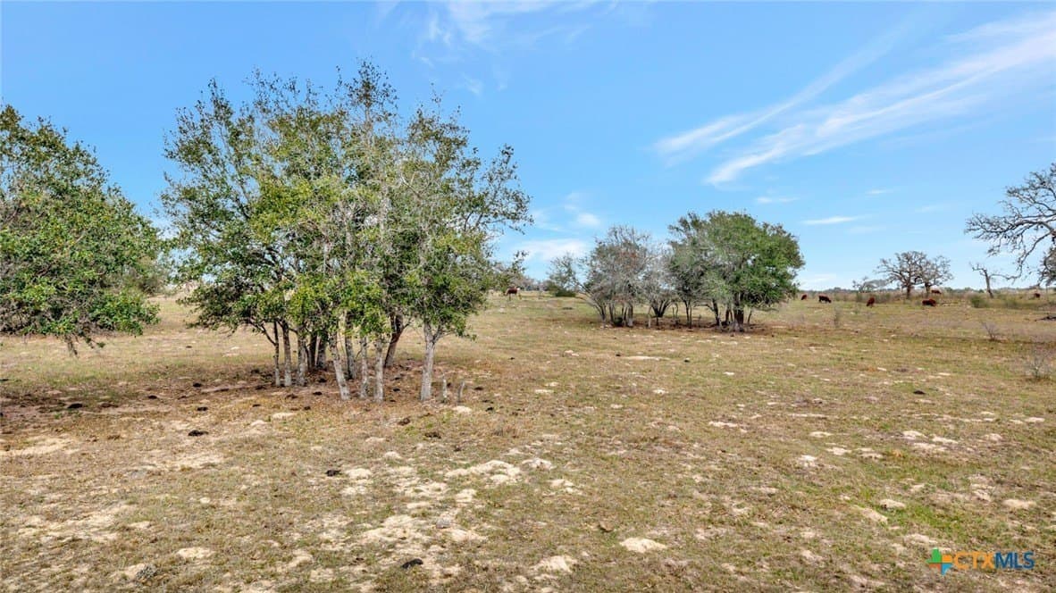 63.46 acres in Goliad County - photo 6
