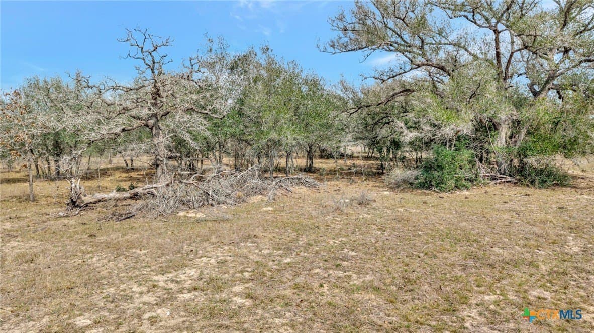 63.46 acres in Goliad County - photo 8