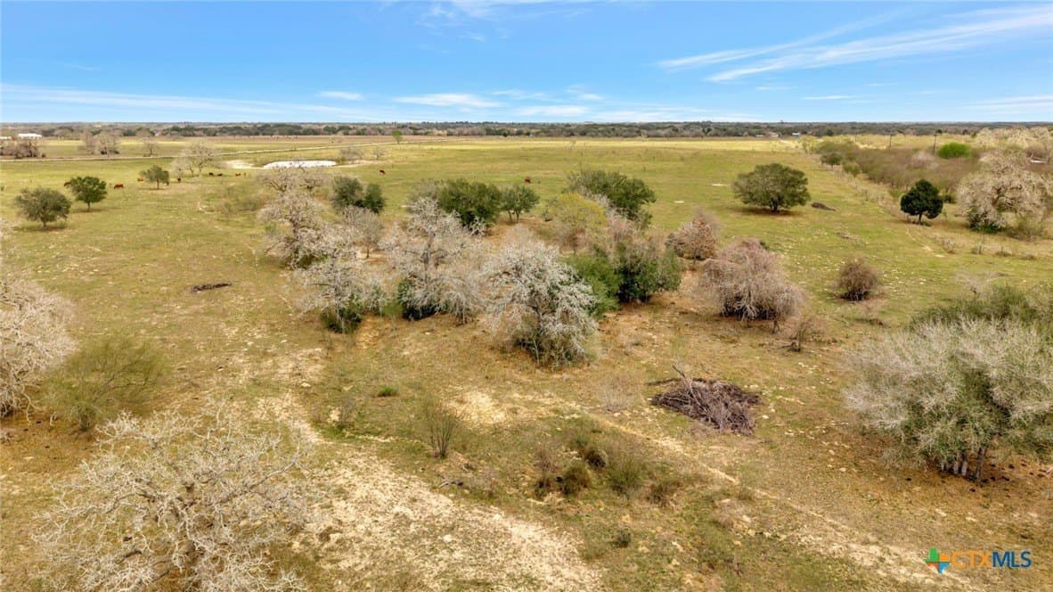 63.46 acres in Goliad County - photo 5