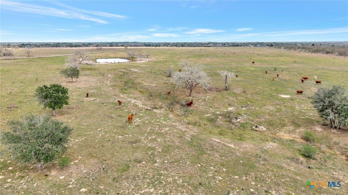 63.46 acres in Goliad County - photo 18