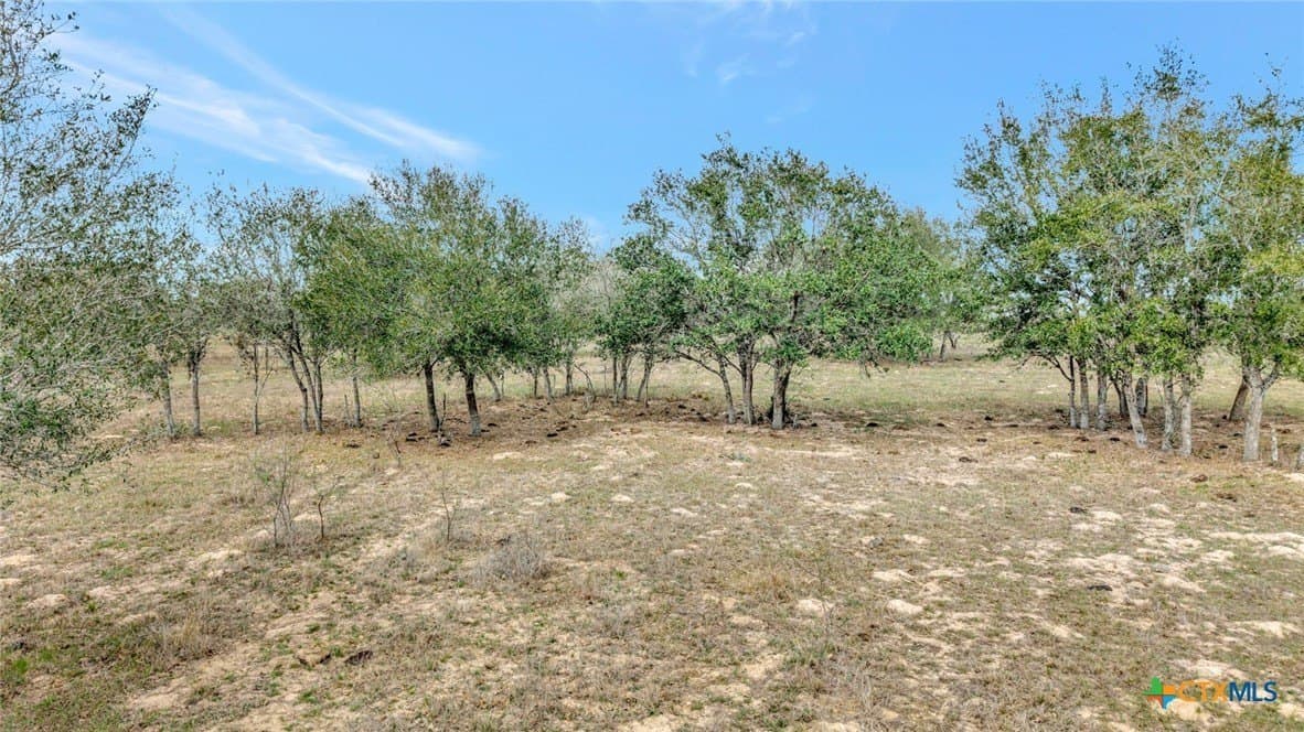 63.46 acres in Goliad County - photo 4