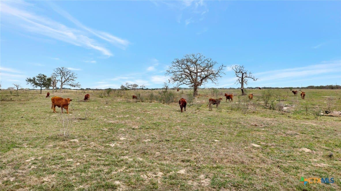 63.46 acres in Goliad County - photo 17