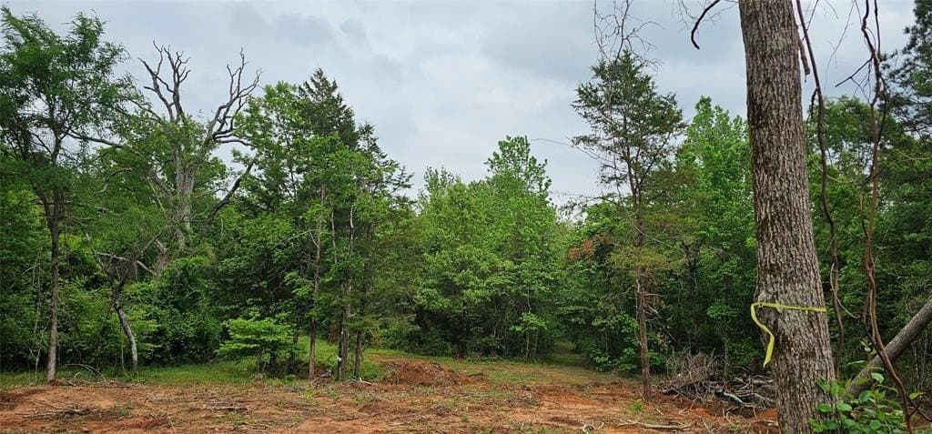 22.5 acres in Van Zandt County featured view