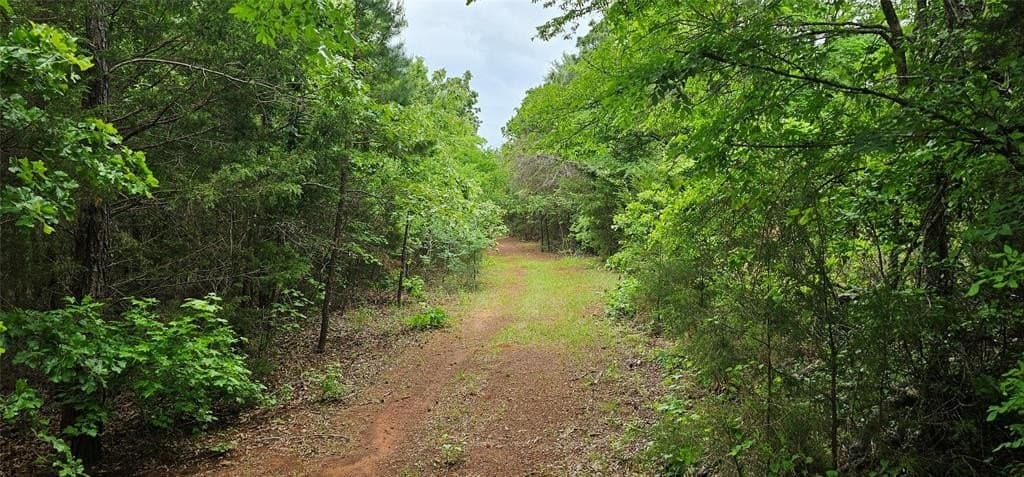 22.5 acres in Van Zandt County gallery image 2