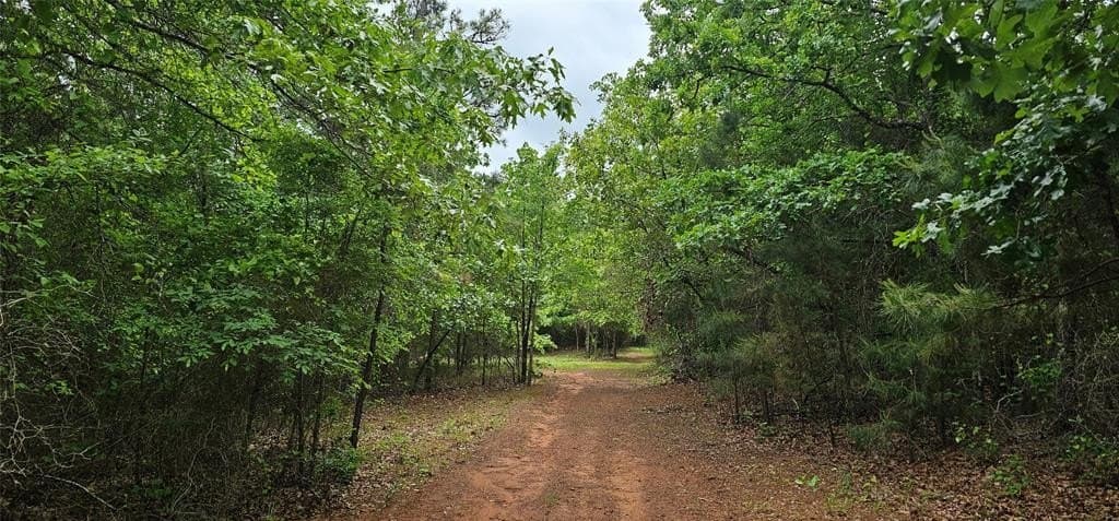 22.5 acres in Van Zandt County gallery image 3