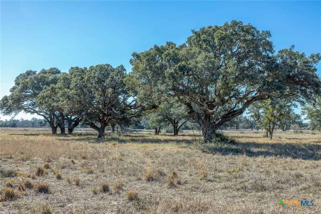 5.53 acres in Victoria County - photo 14