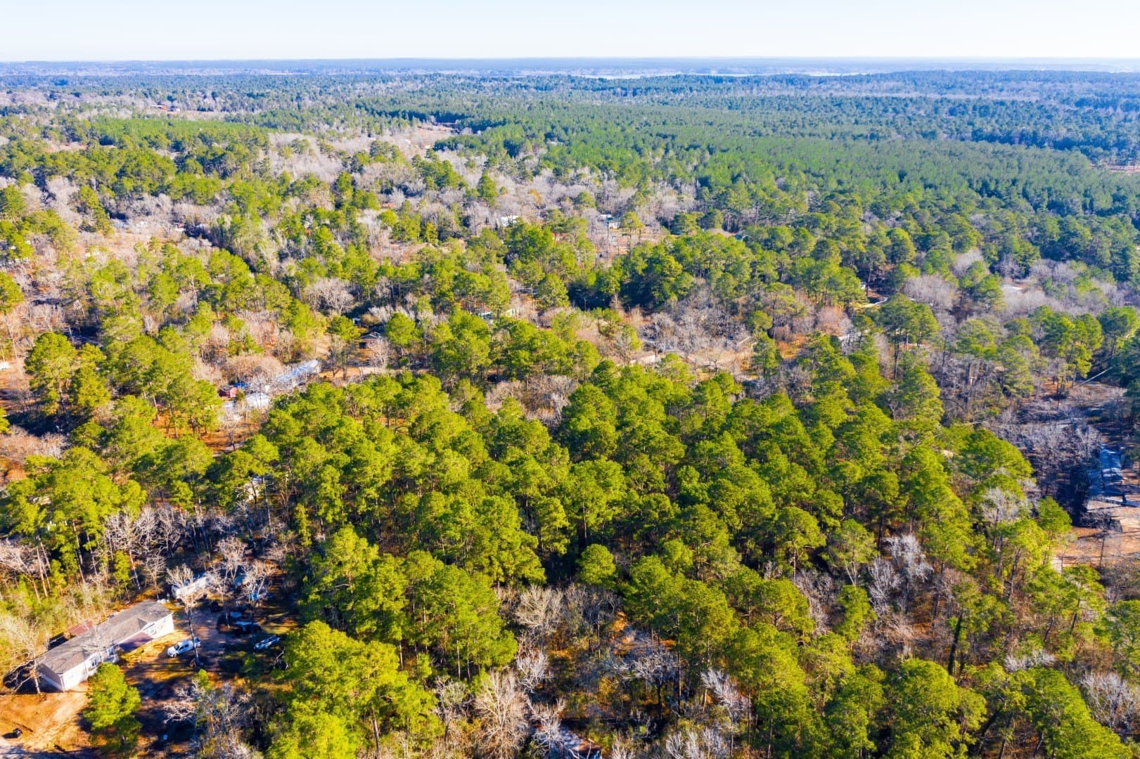 0.33 acres in Trinity County - photo 19