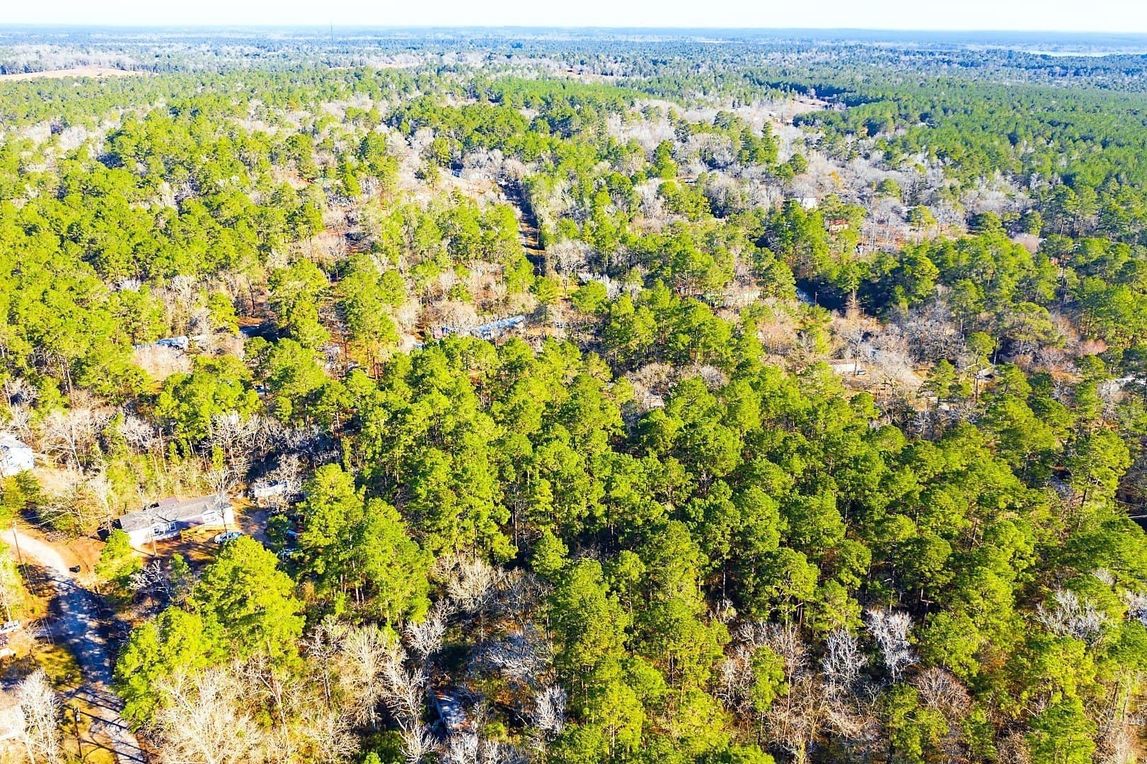 0.33 acres in Trinity County gallery image 2