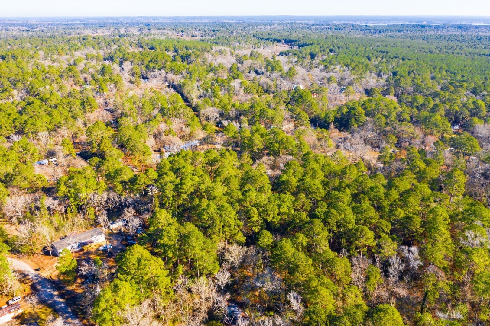 0.33 acres in Trinity County