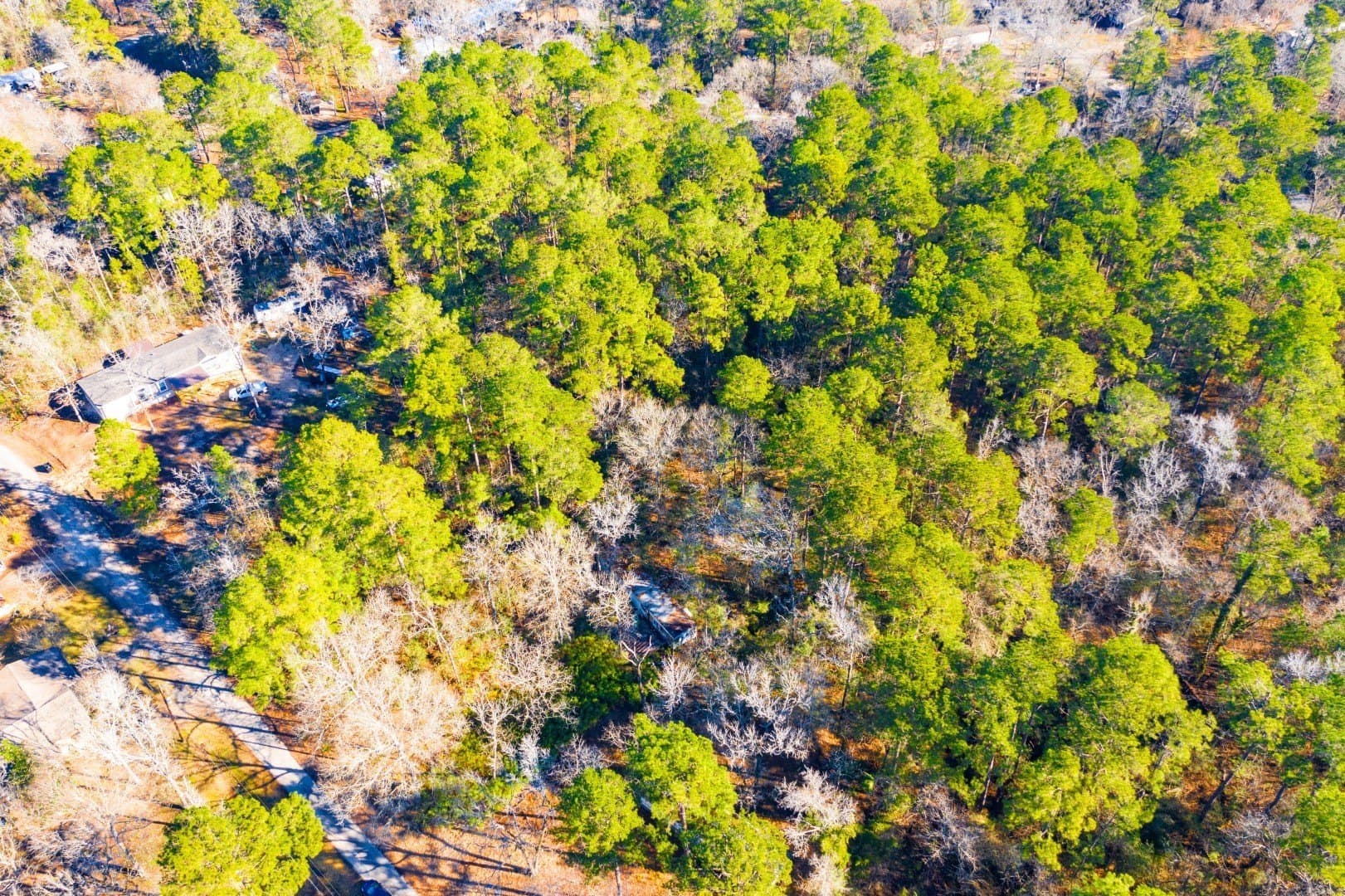 0.33 acres in Trinity County - photo 17