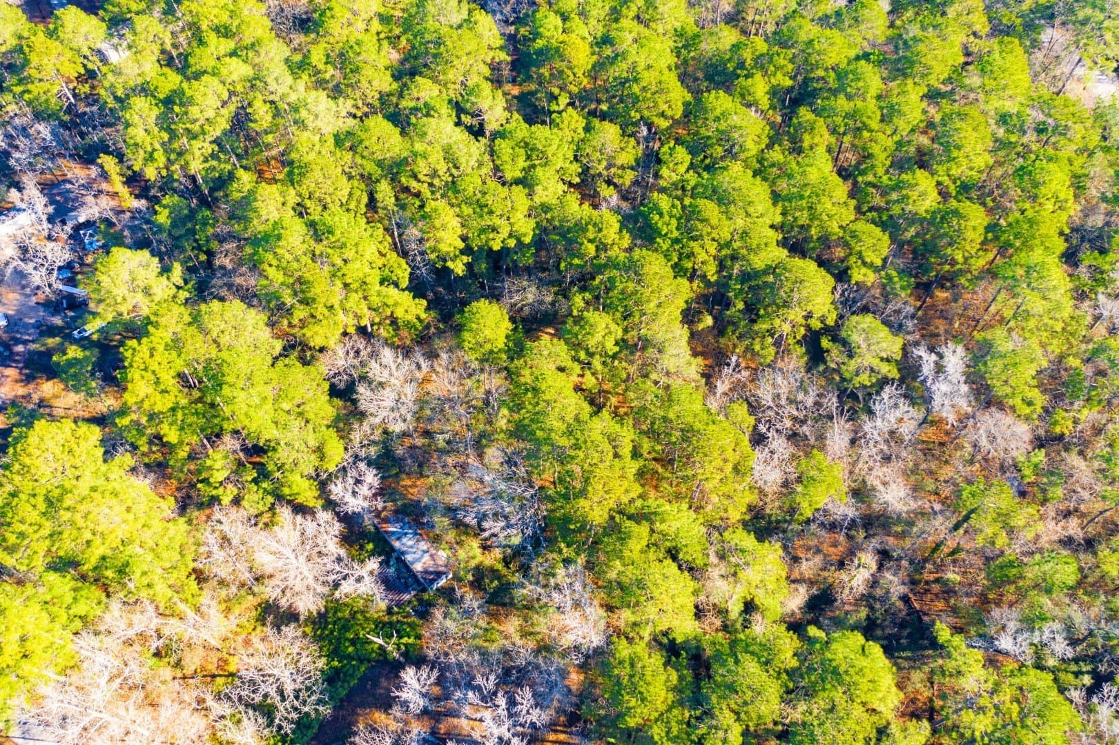 0.33 acres in Trinity County gallery image 4